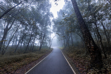 Natural background of waterfall flowing from high place through rocks and rainforest, the water flows in various ways according to the strength and beauty of the natural system.