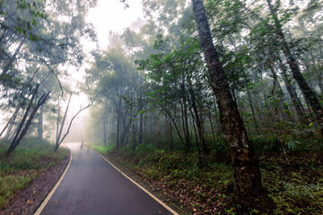Obraz premium Natural background of waterfall flowing from high place through rocks and rainforest, the water flows in various ways according to the strength and beauty of the natural system.