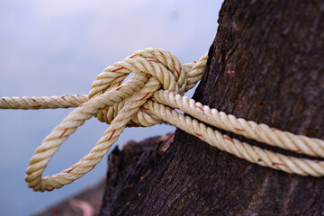 Tying a knotted rope to a large tree