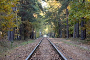Railway track through a forest in autumn, surrounded by trees with vibrant fall foliage