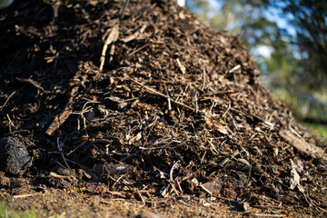 turning a compost pile in a community garden. compost full of microorganisms. sustainable...