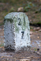 Weathered concrete milestone with numbers, covered in moss, in a natural forest setting