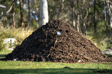 measuring the temperature of a Compost pile, organic thermophilic compost turning in Tasmania...