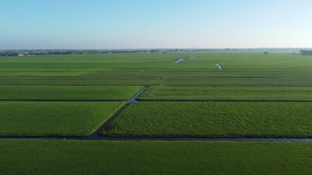 Aerial reveal, flat Dutch lush fields, fresh farming grazing landscape