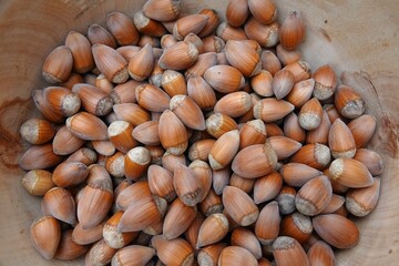 Des noisettes entières dans un récipient en bois, avec tons vifs