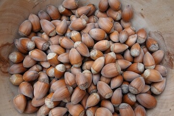 Des noisettes entières dans un récipient en bois