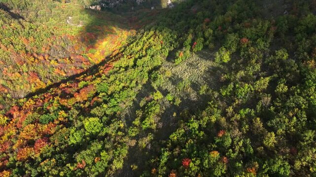 Top drone view of automnal forest in the Col de Vence in France