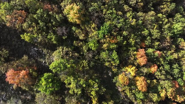 Aerial view of automnal forest in the Col de Vence in France