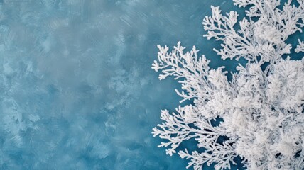 Enchanting frost transforms the landscape, showcasing the beauty of the cold season.