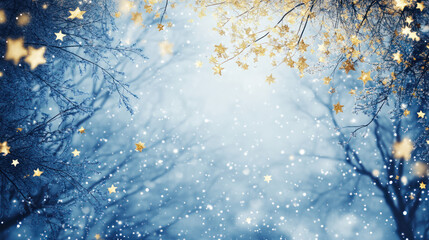 Glittering Stars in a Winter Wonderland