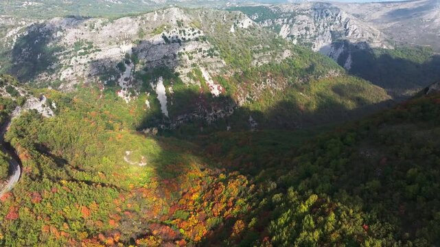 Aerial video of automnal forest in the Col de Vence in France