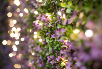 Pared decorada con flores en color lila