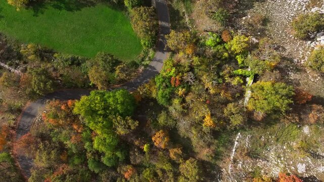 Automnal forest view from the sky  in the Col de Vence in France