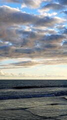 Seascape at sunset with dramatic cloudy sky above calm ocean. A seagull flies towards the horizon