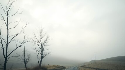 A winding road disappearing into a thick fog, with bare branches of trees silhouetted against the dense white haze, creating an atmosphere of mystery and intrigue.