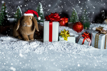 Fawn dwarf ram rabbit on a Christmas scenario