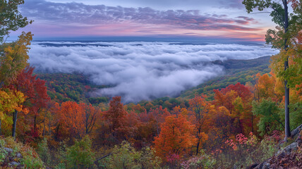紅葉の森林と雲海の朝