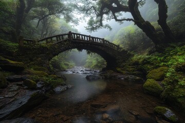 A tranquil stone bridge arches over a moss-covered stream in a mysterious foggy forest during early morning light