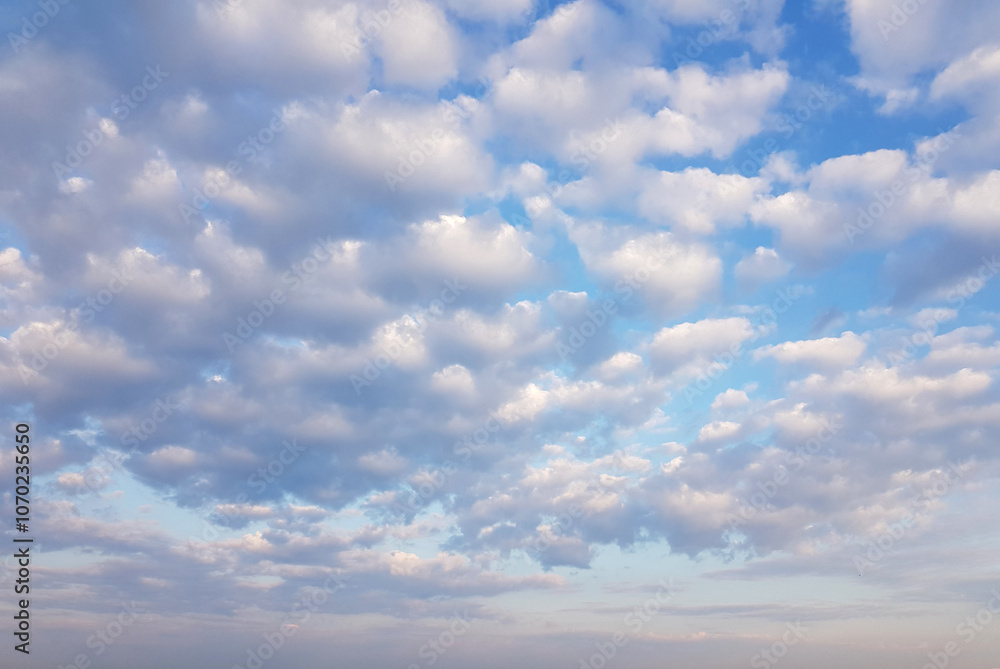 Wall mural beautiful day. perfect blue sky with white light clouds, nature background