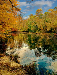 Autumn landscape. Photo taken in Maryland, USA