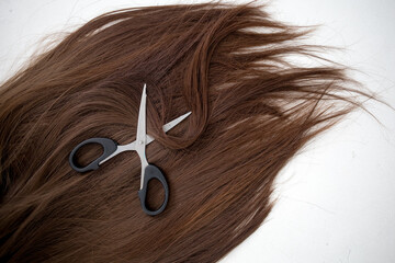 Hairdressing scissors and a strand of brown hair on a white background