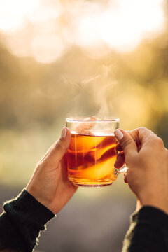 Two hands holding a steaming glass mug of autumn tea.
