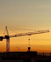 crane at sunset