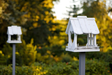 Wooden bird feeder with berries and wheat inside, birdhouse on a beautiful blurred background of yellow leaves outdoors. feeders in the autumn park. autumn season. bird care
