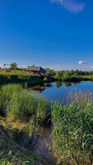 Fototapeta premium Peaceful Wooden Lakeside Cabin and Swing in a Sunny, Serene Landscape