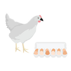 White poultry farm chicken hen and carton box with chicken eggs