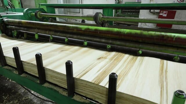 Conveyor at the match factory for the production of veneer blanks matches saltpeter and packaging