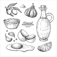 Mayonnaise sauce vector drawing. Organic homemade mayo cream ingredients sketch.