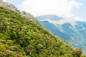 landscape in the mountains