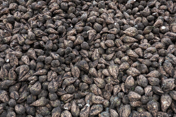 Detail of a heap of Sugar beet in autumn after harvest