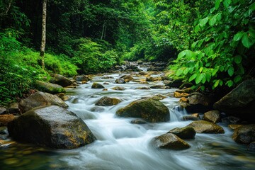 Fototapeta premium A river flows through a lush green forest, surrounded by rocks