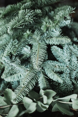 Christmas tree branches