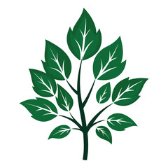 tree leaves set silhouette on white background