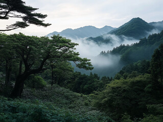 Fototapeta premium morning in the mountains