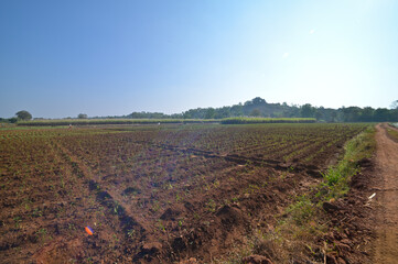 Agricultural land before sowing seeds in the month of june, India.