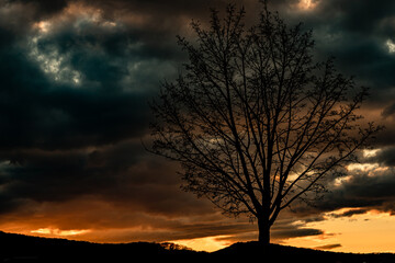 Bilder die beim Sonnenuntergang enstanden