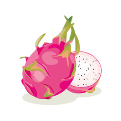 Vector illustration of dragon fruit