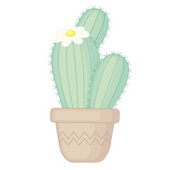 Green Cactus With White Flower