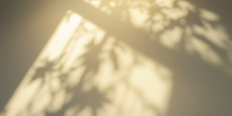 Divine Light Soft Rays from the Sky