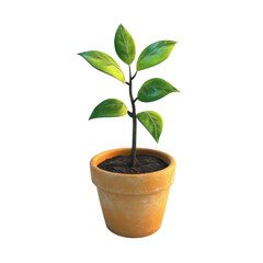 A potted plant with vibrant green leaves emerging from dark soil in a terracotta pot., isolated on a transparent background.