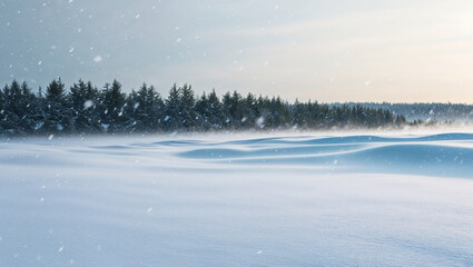 Tranquil snowy field with forest line and light falling snow.