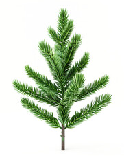 Naklejka premium 3D pine white background