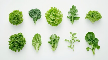 A collection of fresh green vegetables sits against a clean white background.