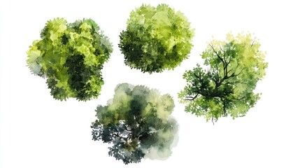 Obraz premium Watercolor Painting of Tree Tops