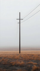 Obraz premium A Single Power Pole Stands Tall Against a Foggy Sky Over a Field of Dry Grass