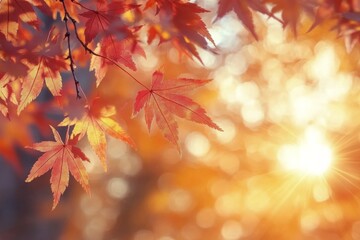 Golden autumn leaves illuminated by sunlight in a serene outdoor setting during the fall season